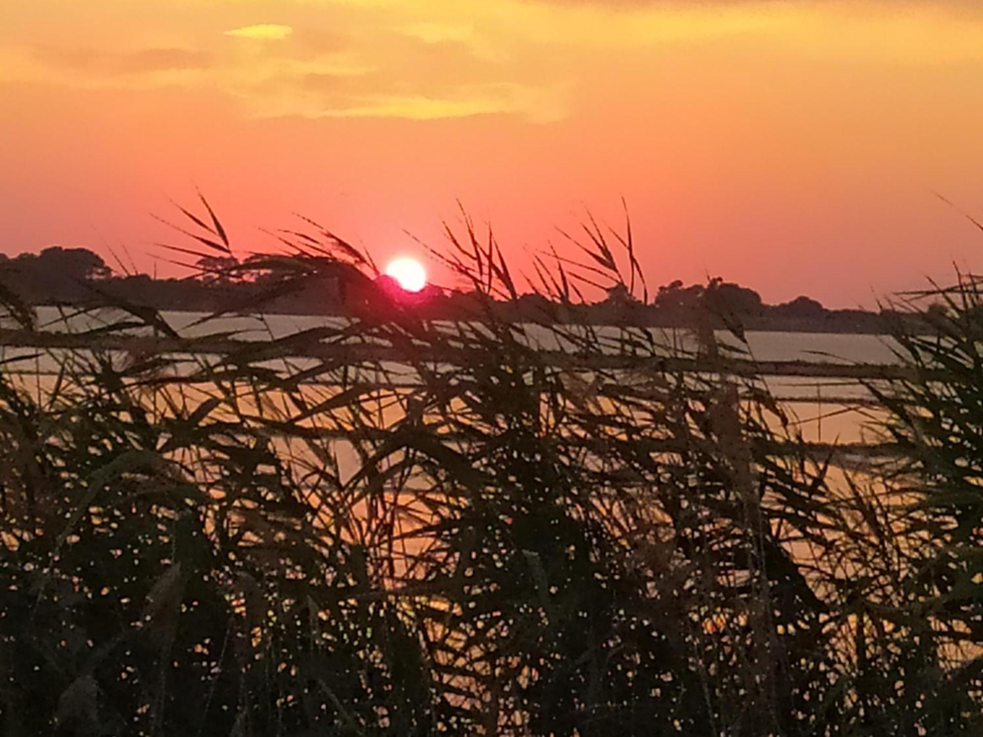 Sunrise Stagnone - Kitesurf Spot Bed & Breakfast Марсала Стая снимка