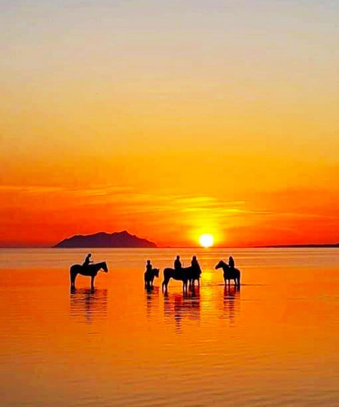 Sunrise Stagnone - Kitesurf Spot Bed & Breakfast Марсала Екстериор снимка