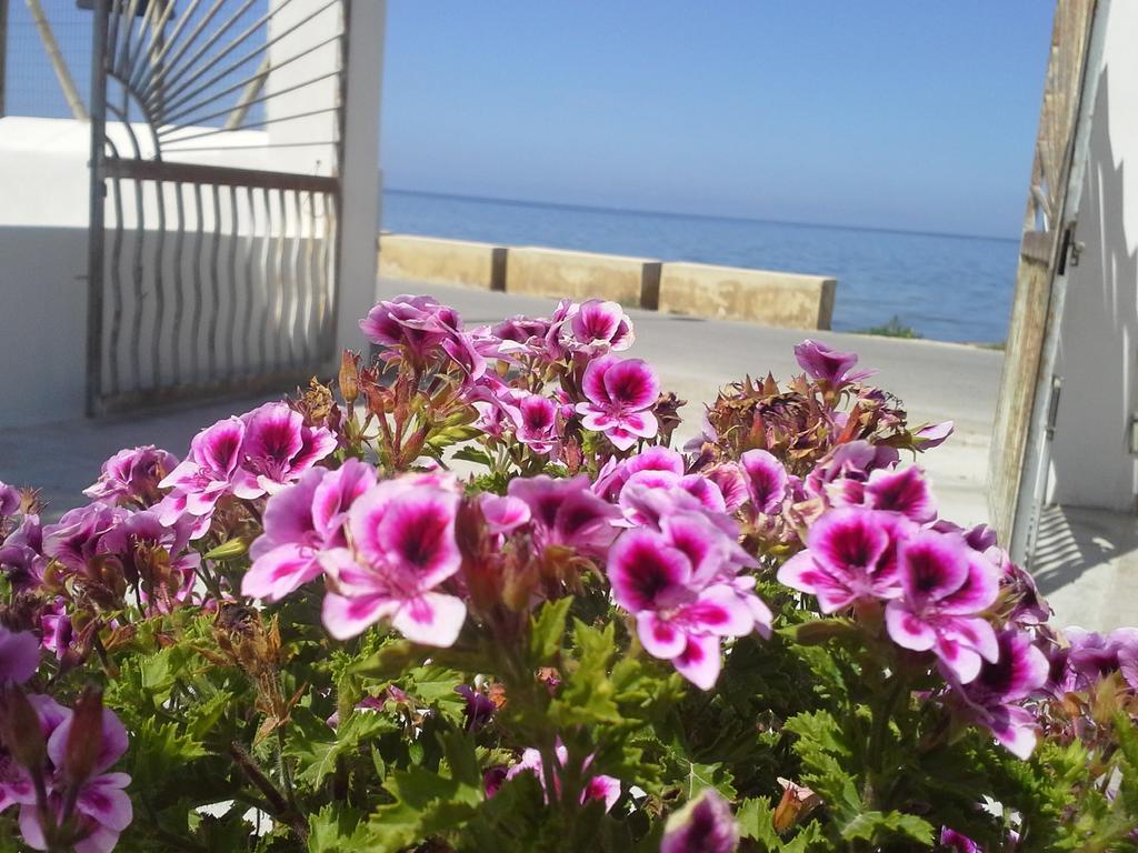 Sunrise Stagnone - Kitesurf Spot Bed & Breakfast Марсала Стая снимка